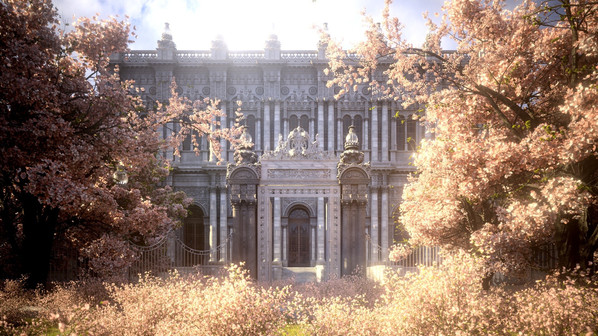 Group Image Gallery