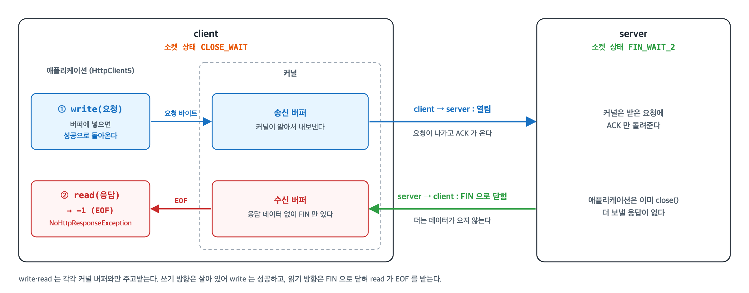 half-close 상태의 CLOSE_WAIT 소켓 — ① write(요청) 은 요청 바이트를 커널 송신 버퍼에 넣으면 성공으로 돌아오고, 커널이 열려 있는 client → server 방향으로 내보내면 server 커널은 ACK 만 돌려준다. ② read(응답) 은 커널 수신 버퍼에서 읽는데, server → client 방향은 FIN 으로 닫혀 FIN 만 있으므로 -1(EOF)이 나와 NoHttpResponseException 이 된다