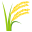 🌾