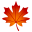 🍁