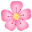 :cherry_blossom: 🌸