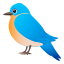 Bird :bird: 🐦