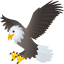 Eagle :eagle: 🦅