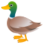 🦆