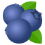 Blueberries :blueberries: 🫐