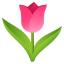 Lale :tulip: 🌷