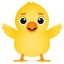 🐥