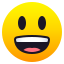 Grinning face with big eyes :smiley: 😃