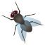 :fly: