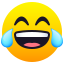 Face with tears of joy :joy: 😂