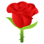 Rose :rose: 🌹