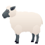 Ewe :sheep: 🐑