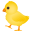 &#x1f424;