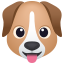 Cara de perro :dog: 🐶
