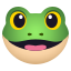 Frog :frog: 🐸