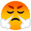Face with steam from nose :triumph: 😤