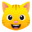 Grinning cat :smiley_cat: 😺