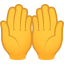 Palms up together :palms_up_together: 🤲