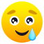 Smiling face with tear :smiling_face_with_tear: 🥲