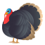 Turkey :turkey: 🦃