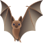Bat :bat: 🦇