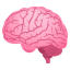 Brain :brain: 🧠