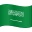 🇸🇦