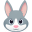 🐰