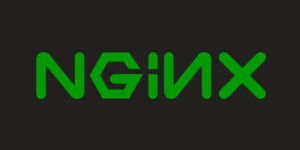 Nginx 中文参考手册 - Nginx 中文文档