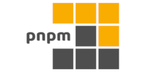 pnpm