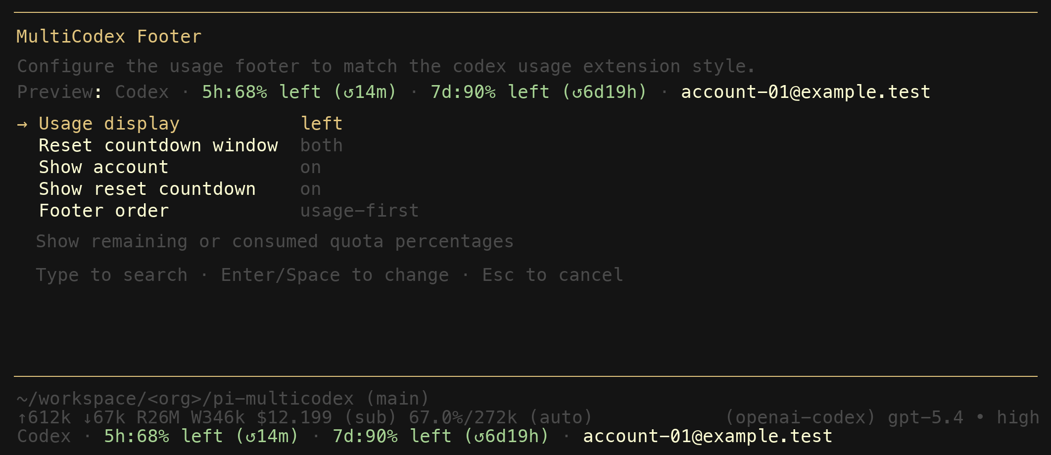 MultiCodex footer settings