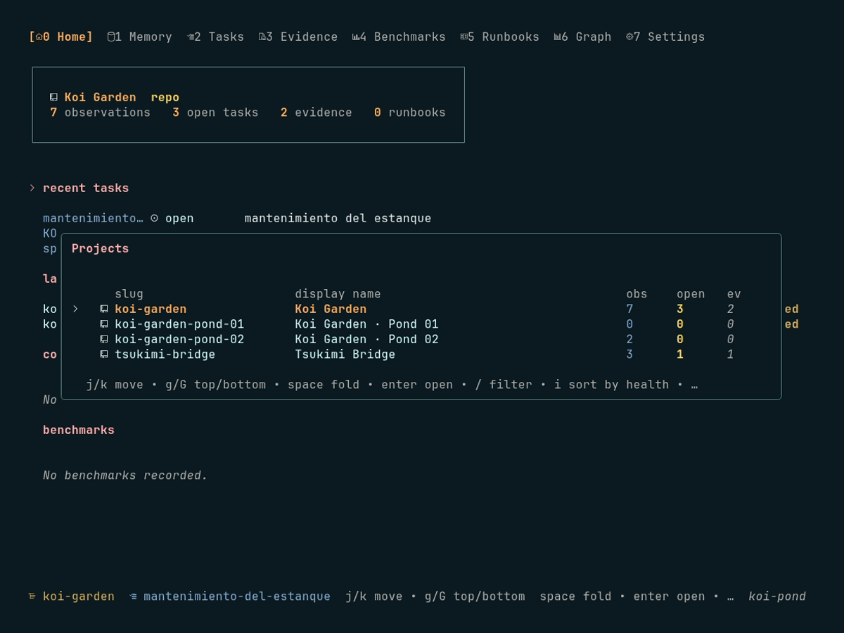 The project switcher open over the workspace, listing every project with its observation, open-task and evidence counts