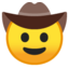 :face_with_cowboy_hat: