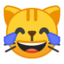 :joy_cat: