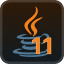 java11