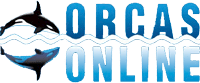  - Internet For Business