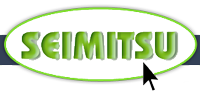 Seimitsu Internet for Business