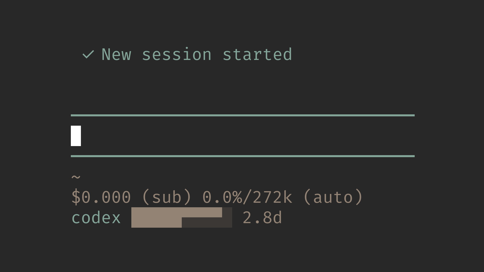 Codex Usage