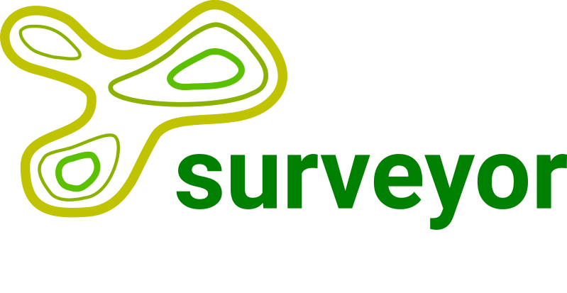 Surveyor