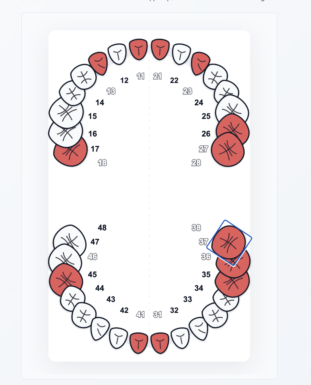Momo Dental Chart preview