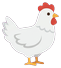 Chicken (side view, facing right)