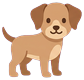 Dog (side view, facing right)