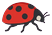 Ladybug (side view, facing right)