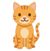 Pet cat, happy (front view)