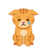 Pet cat, sad (front view)