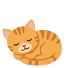 Pet cat, sleeping (front view)