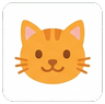 Memory card: cat