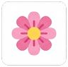 Memory card: flower