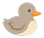 Grey-brown duckling facing right