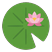 Water lily pad with a pink flower, seen from above